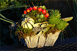 Workshop herfst 2018